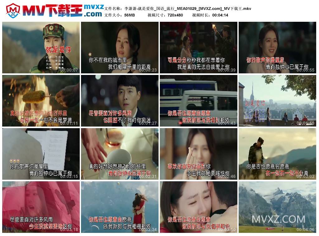 李萧萧-就是爱你_国语_流行_MEA01029
